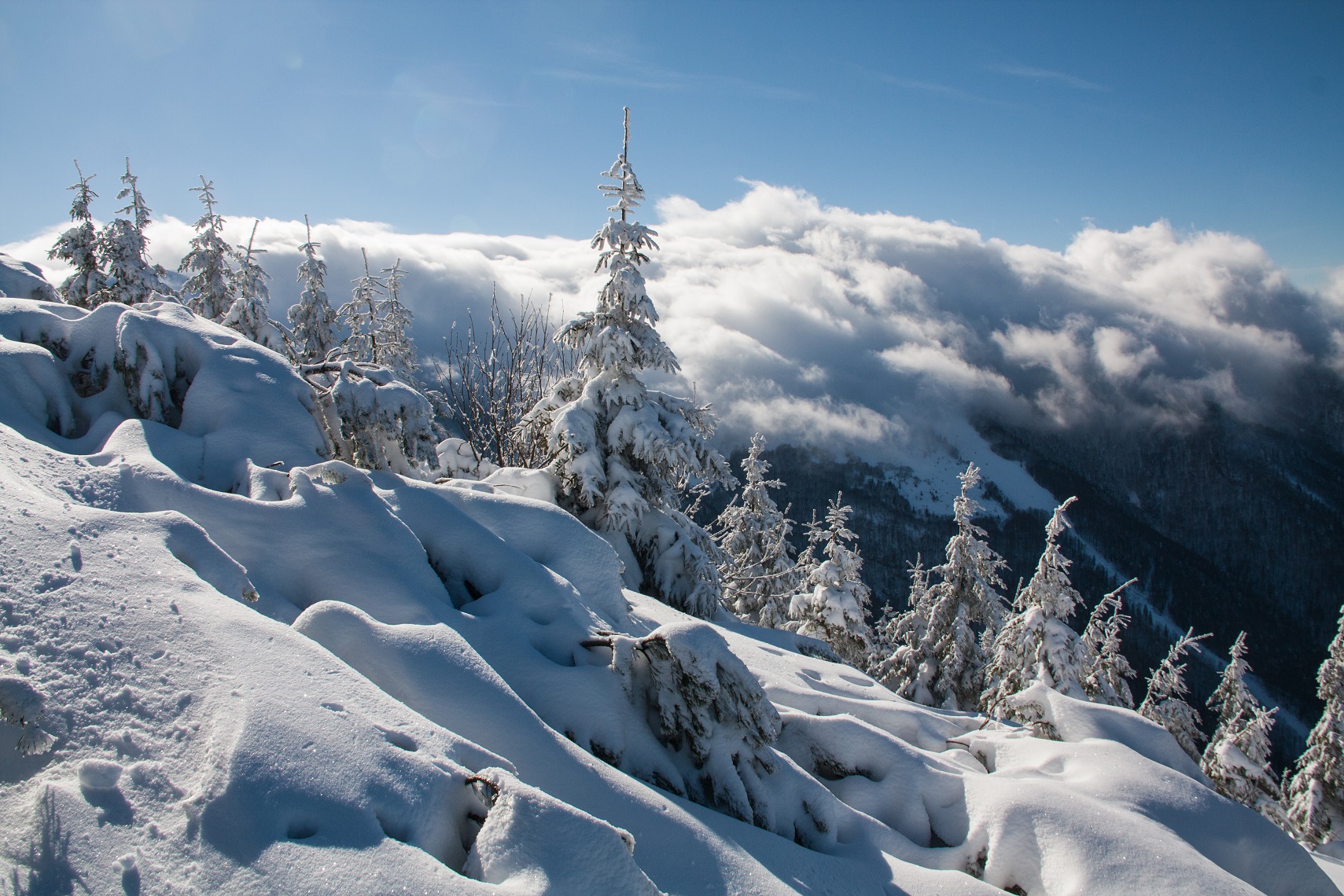 The North Pole in the Mala Fatra