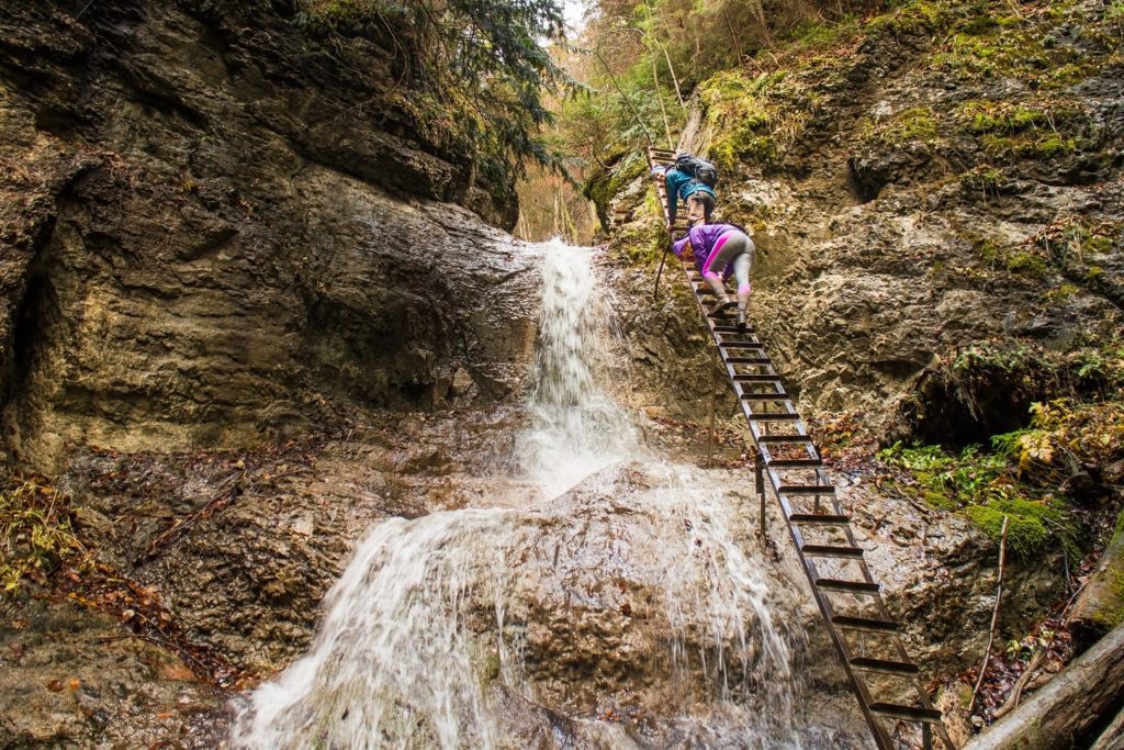 hikers on a ladder