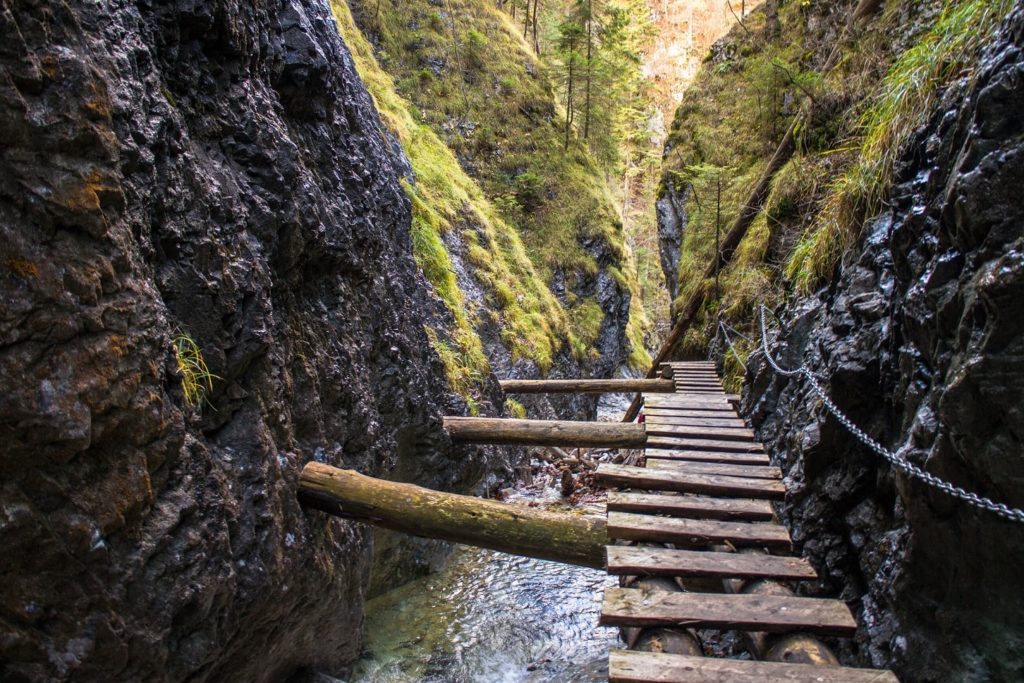 paradise wooden ladders