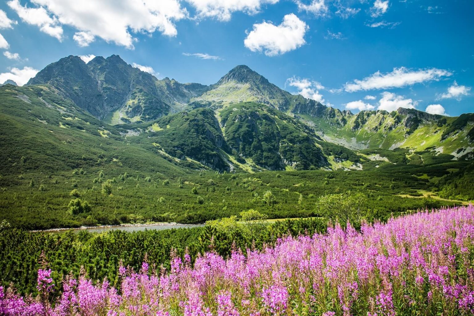 tatra mountains hiking tours